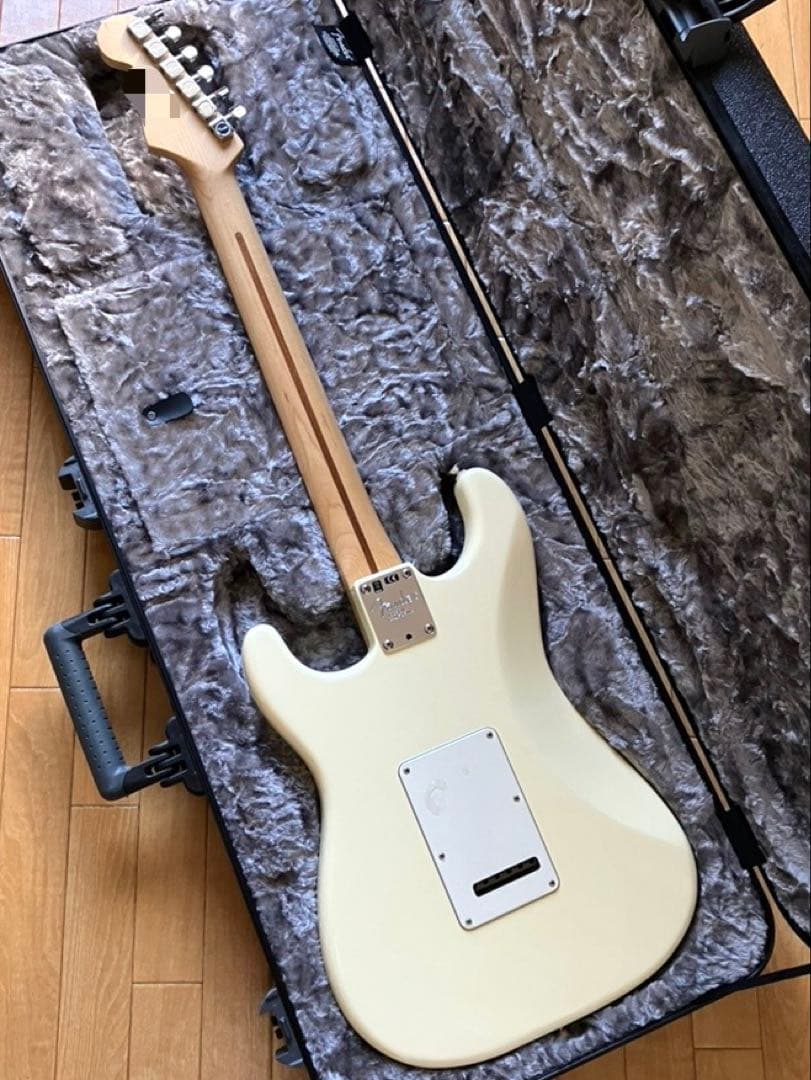 ギター American Professional Stratocaster