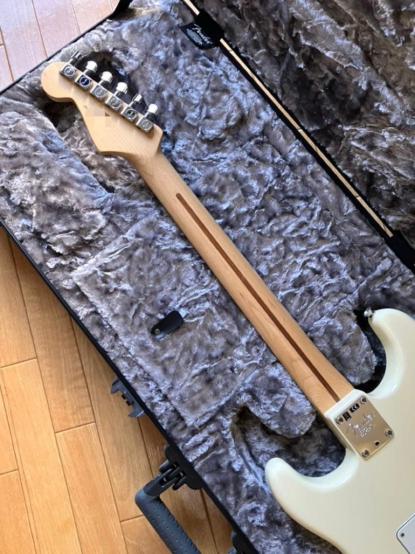 ギター American Professional Stratocaster