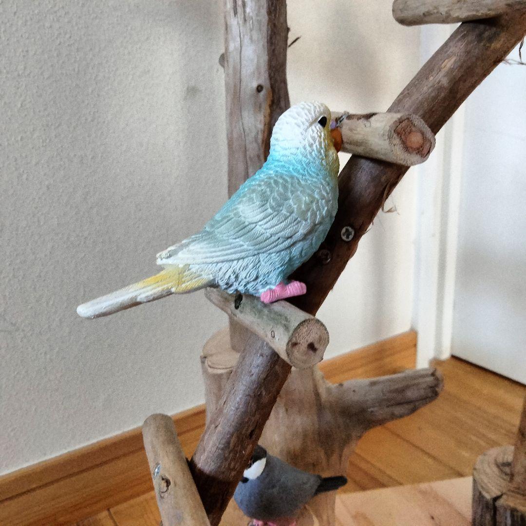 バードアスレチックジム㊼ 天然木 自然木 流木 止まり木 インコ