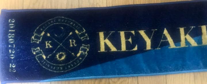 元欅坂46 平手友梨奈直筆サイン 欅共和国2018