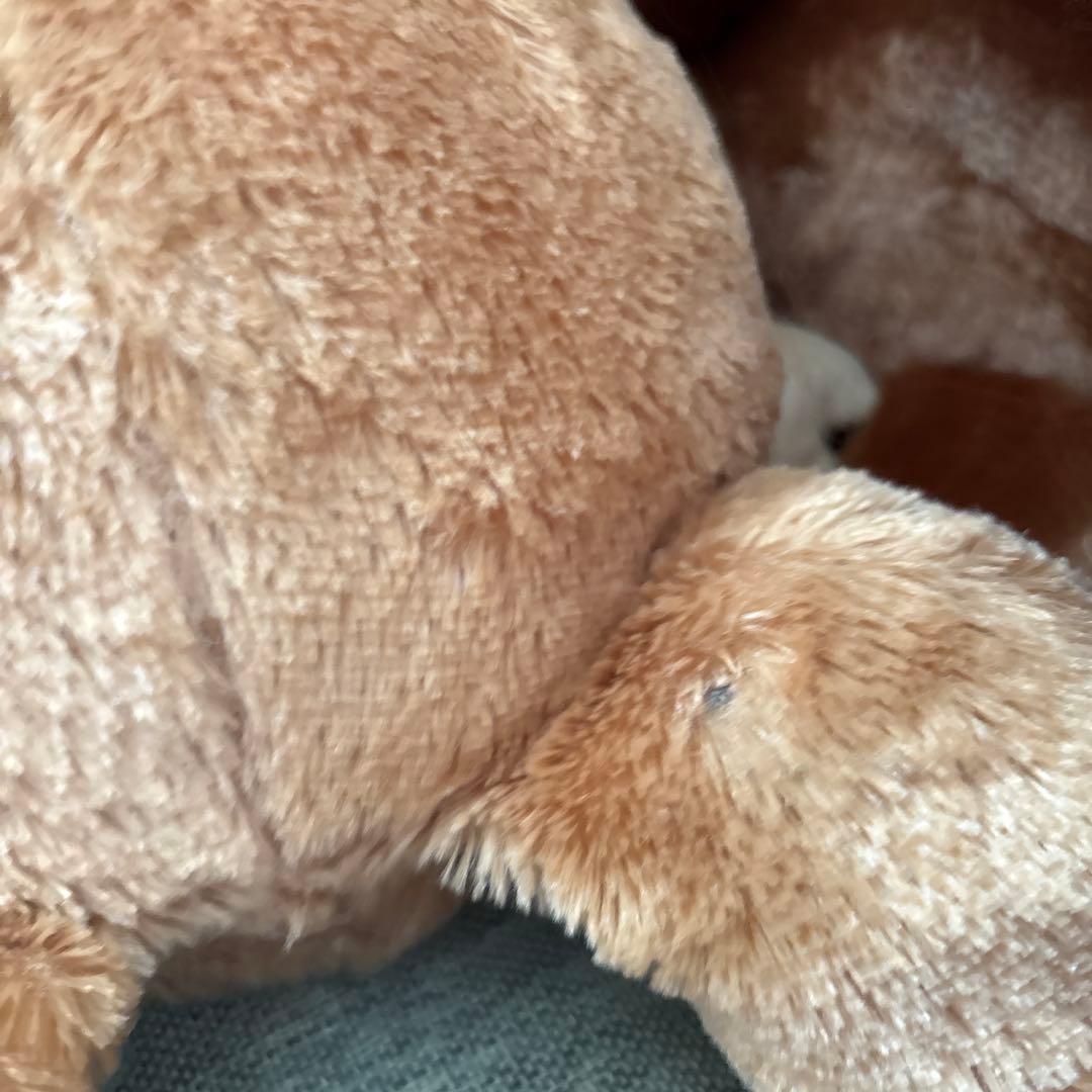 おさるのジョージ