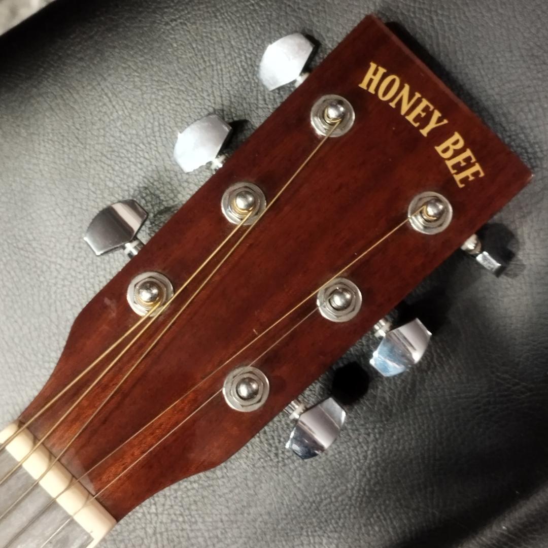 HONEY BEE ハニービー アコースティックギター W-15N
