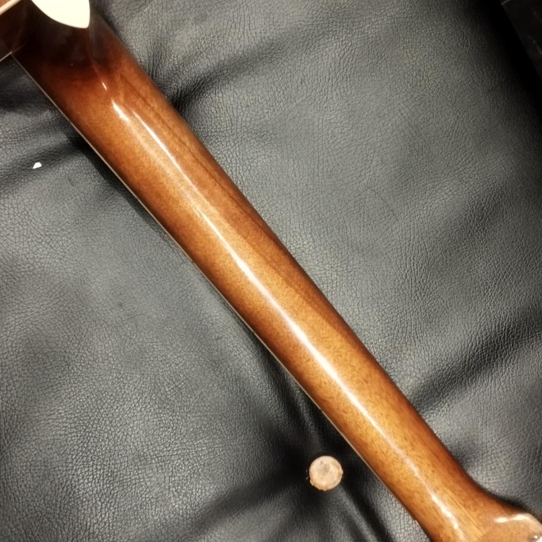 HONEY BEE ハニービー アコースティックギター W-15N