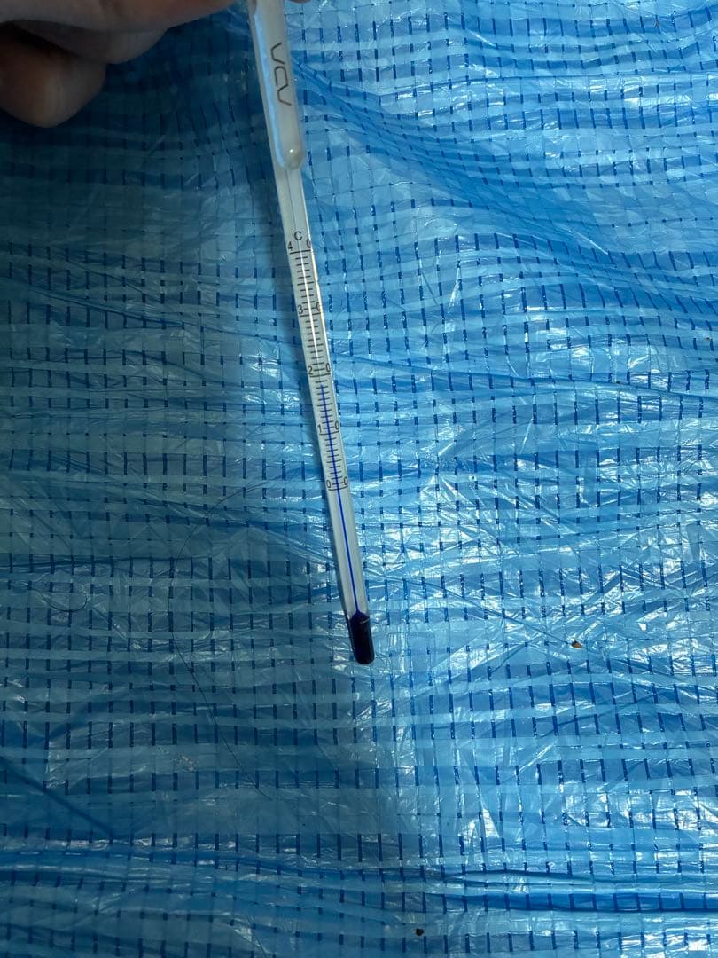 【引き取り限定】60cm水槽、水槽台+45cm水槽台+レイアウト素材　フルセット