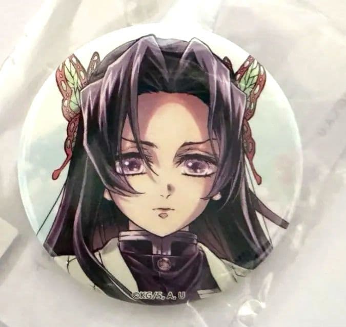 c106 鬼滅の刃 「繋ぐ」しのぶとカナエ A賞 F賞セット