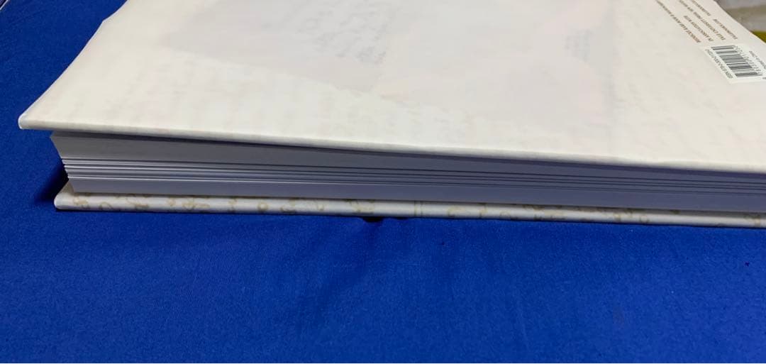 ヴォイニッチ手稿　THE VOYNICH MANUSCRIPT 奇書