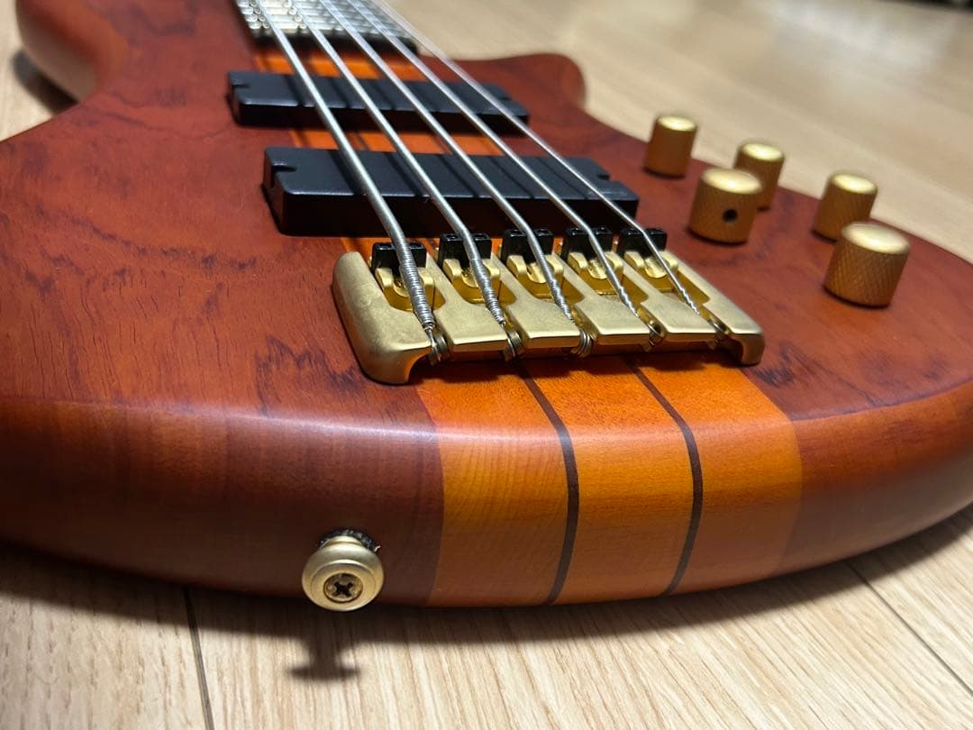 SCHECTER 5弦ベースstiletto studio5＋ソフトケース付き