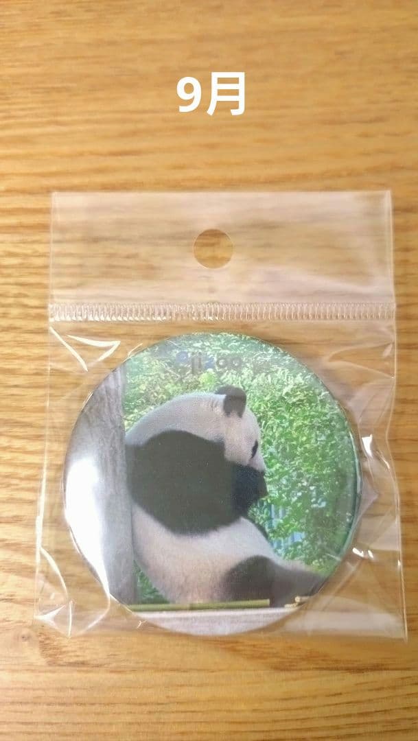 タンタン　缶バッジ　9個セット