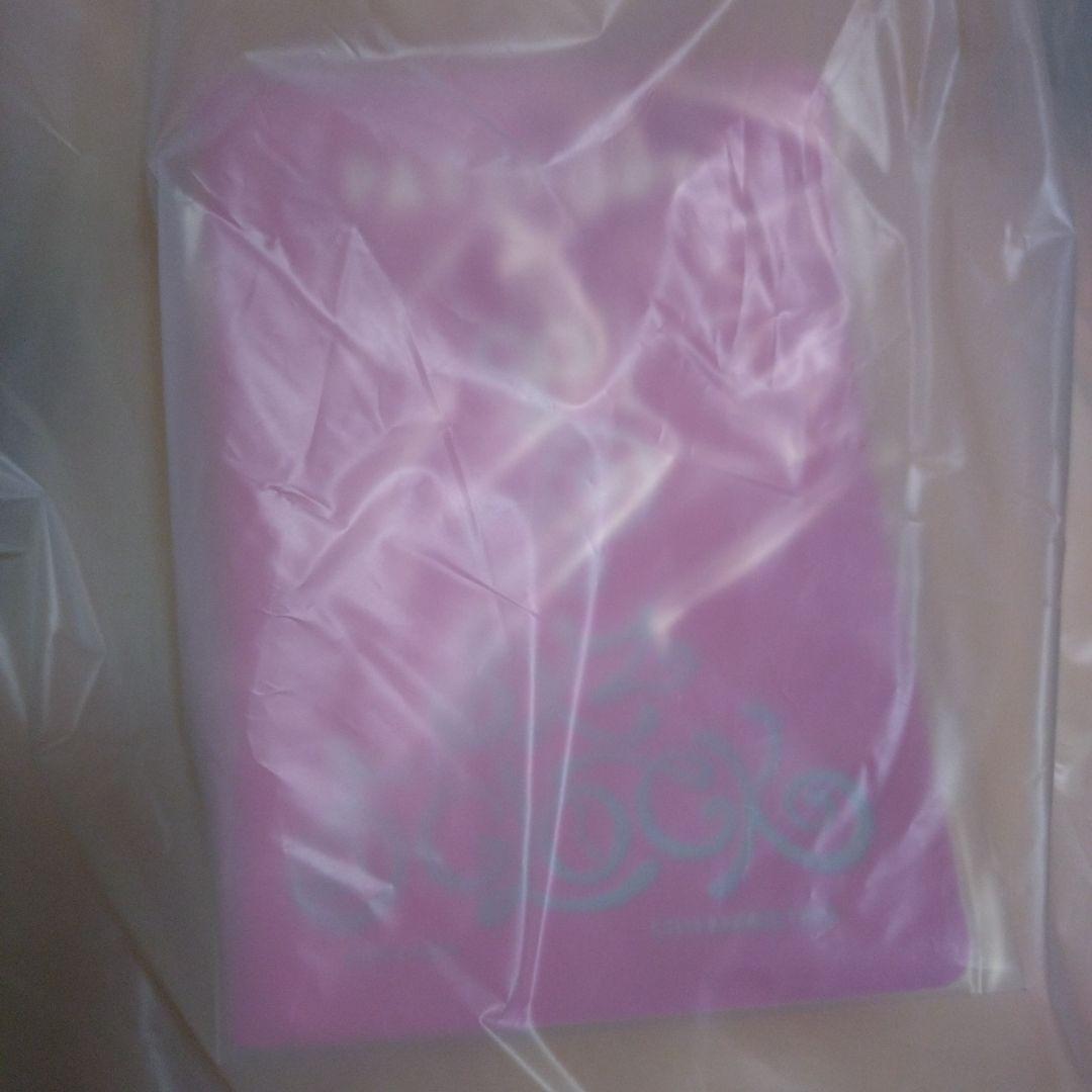 StrayKids　テディベア　パピーム　スンミン　skzoo　スキズ