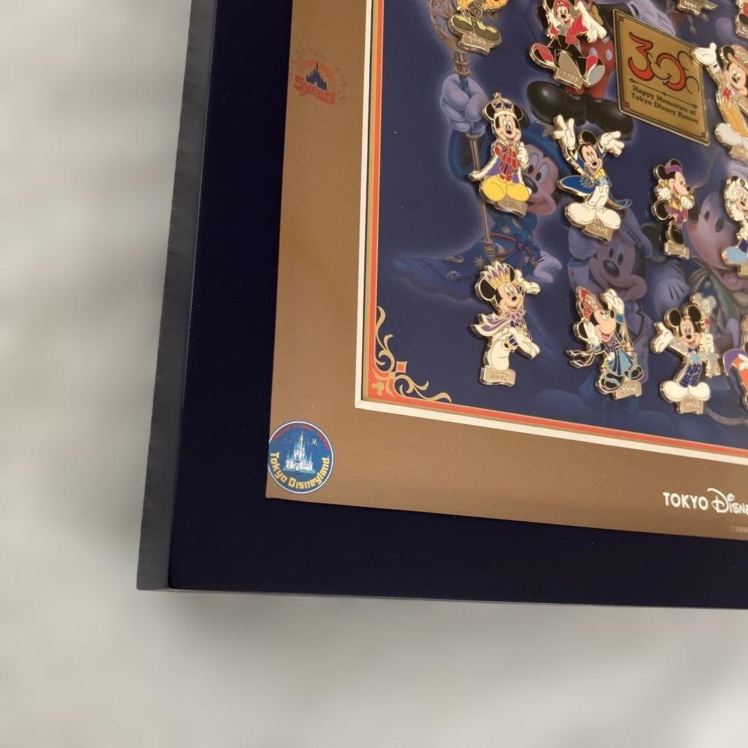 東京ディズニーリゾート 30周年 ピンバッジコレクション 額装