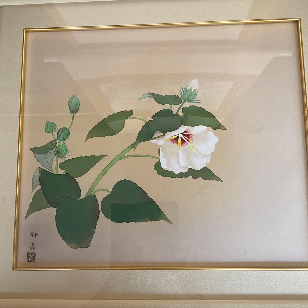 日本画　徳岡神泉作　花　10号　絹本