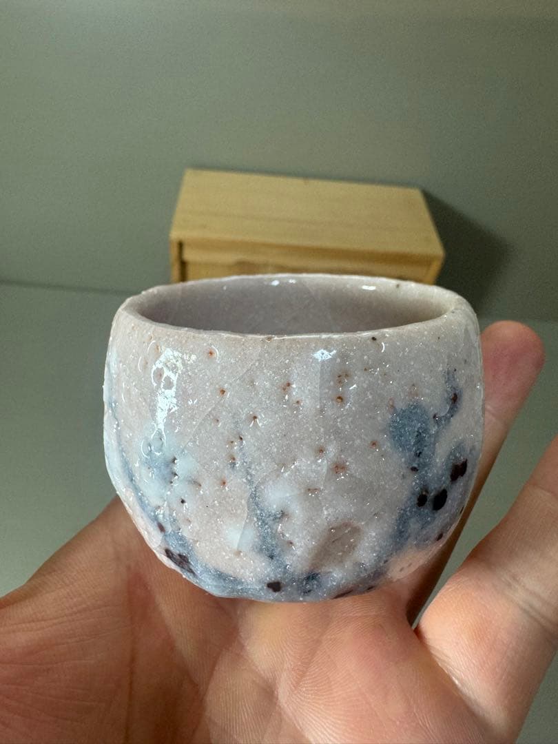 2166 志野焼　荘山窯　紅志野　茶器セット　急須1客　湯呑5客　未使用