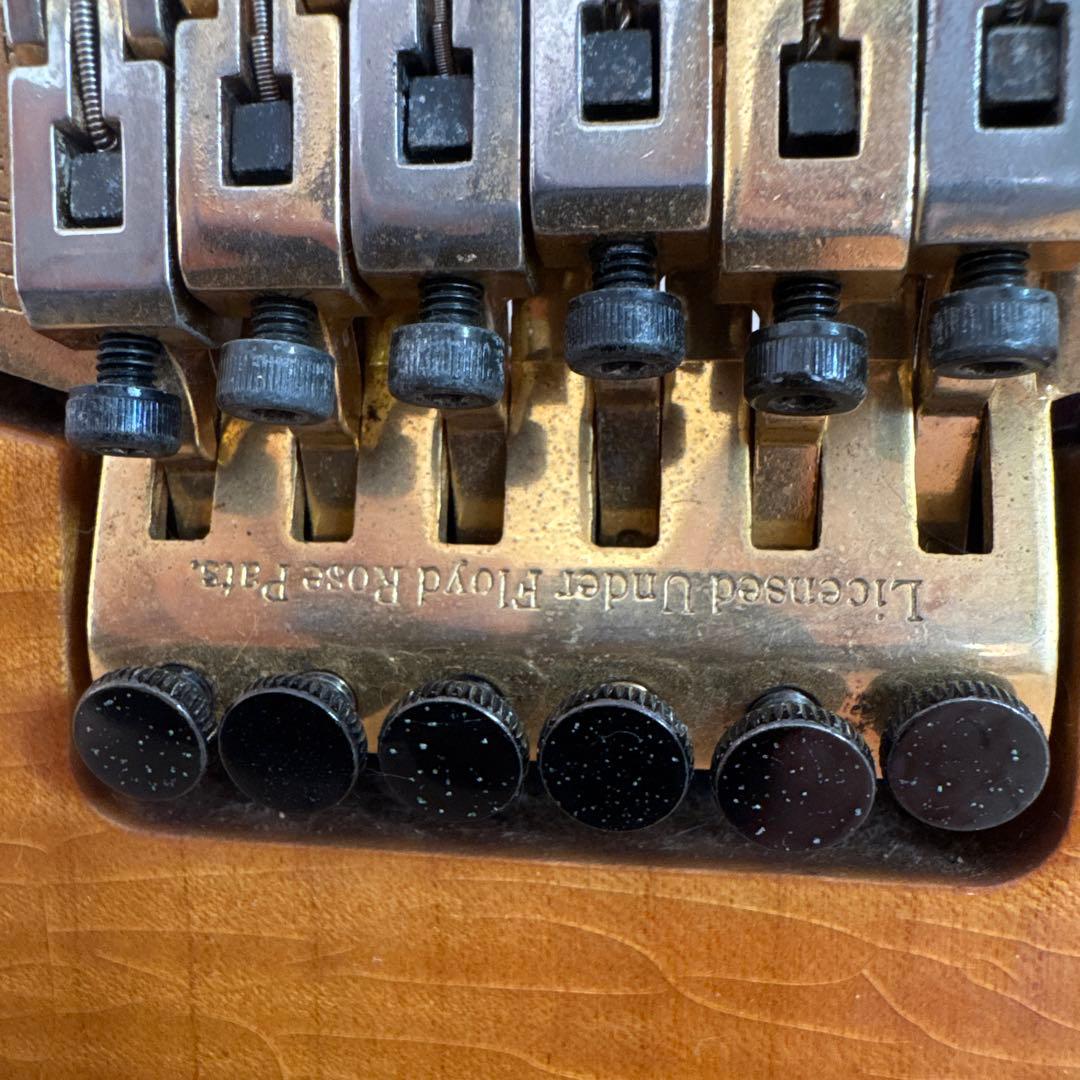 FERNANDES フェルナンデス エレキギター