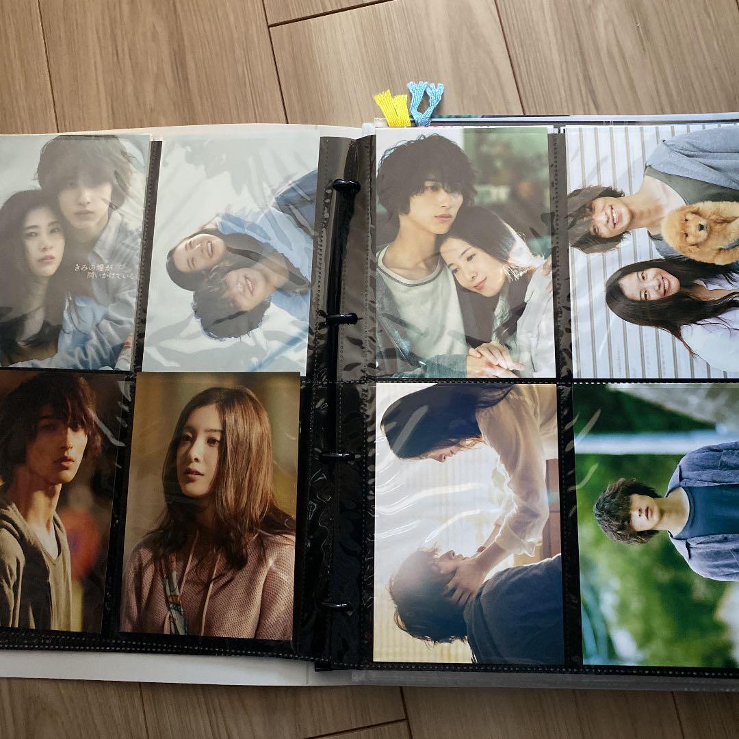 横浜流星クリアファイル　ポストカード　グッズ一式