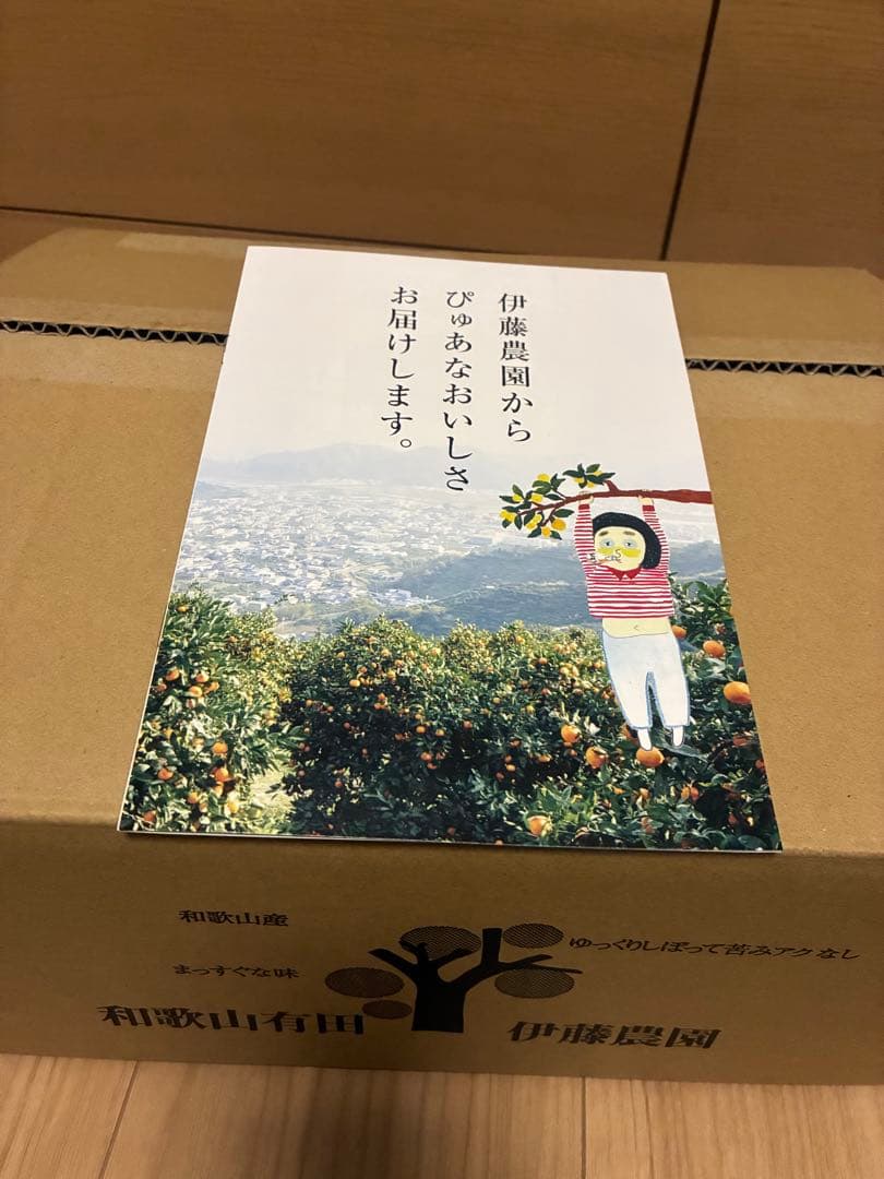 【ruru様】専用伊藤農園 100%ピュアジュース5種180ml 30本セット