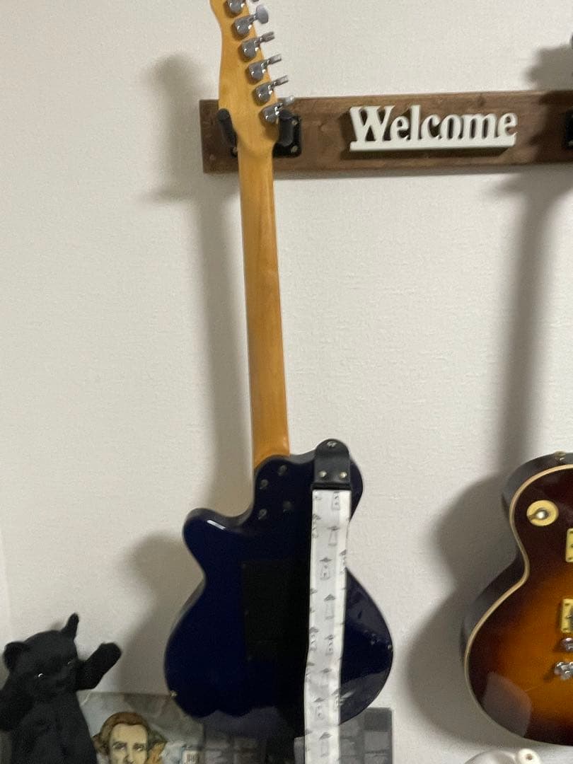 godin SD24 レア物