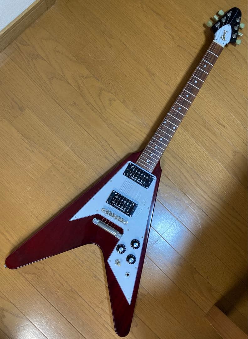 Edwards エドワーズ E-FV-120