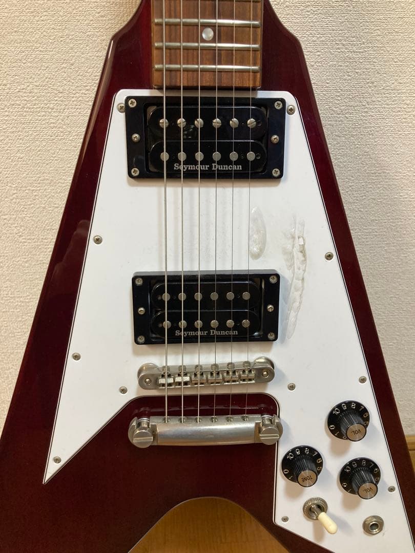 Edwards エドワーズ E-FV-120