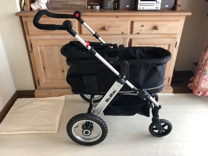 Mr. Mac  ドギーバギー＊フレンチブルドッグ