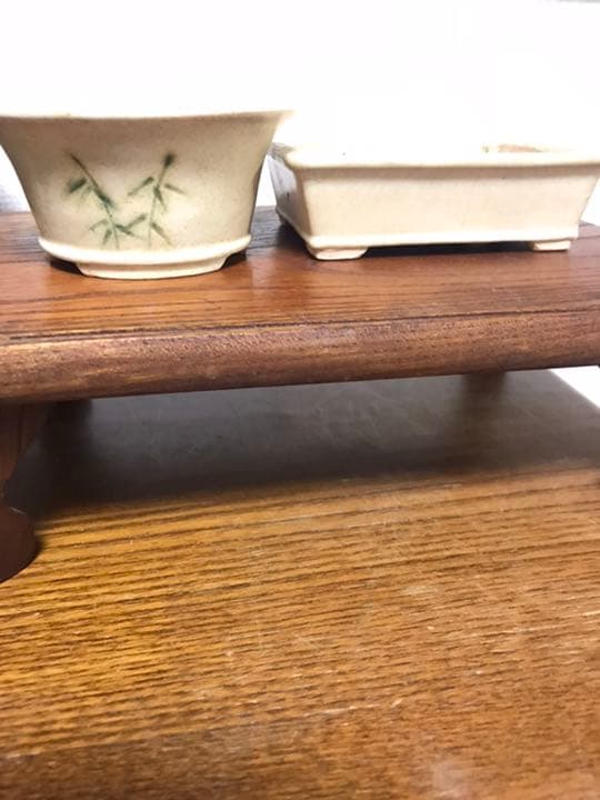 美豊　日本小品盆栽名品展出品記念ミニ盆栽鉢青竹絵付け他貫入白長方ミニ鉢白鉢セット