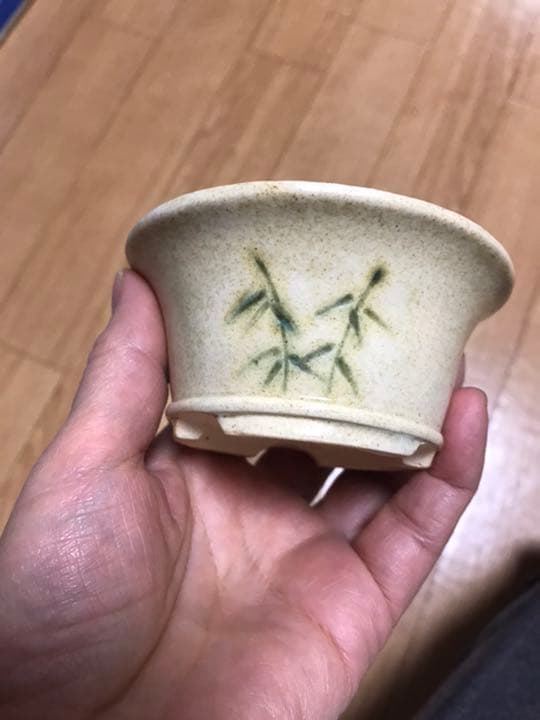 美豊　日本小品盆栽名品展出品記念ミニ盆栽鉢青竹絵付け他貫入白長方ミニ鉢白鉢セット