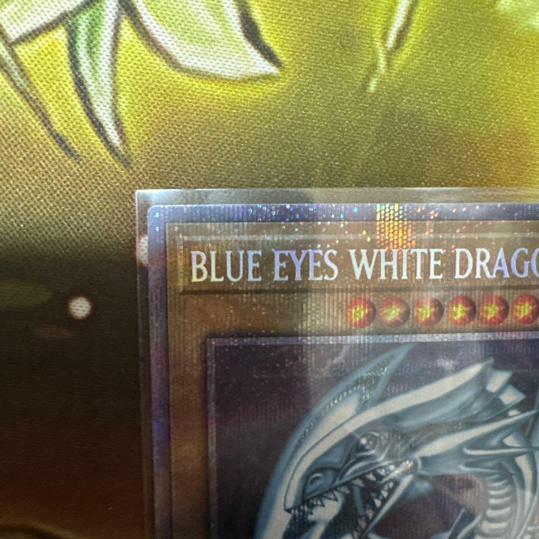 青眼の白龍 BLUEEYES WHITEDRAGON プリシク　アニクロ　英語