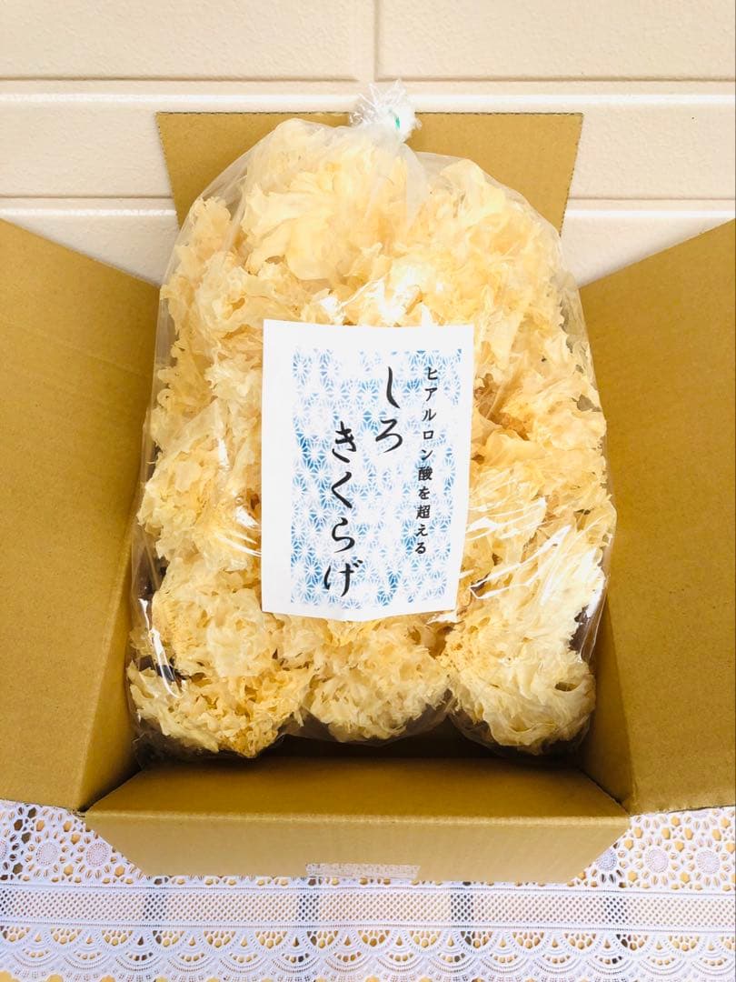 リクエスト出品(cow)