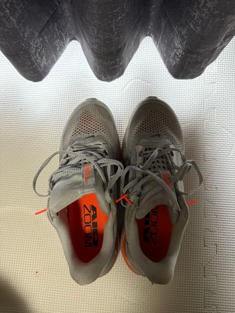 ナイキペガサスプレミアム25cm