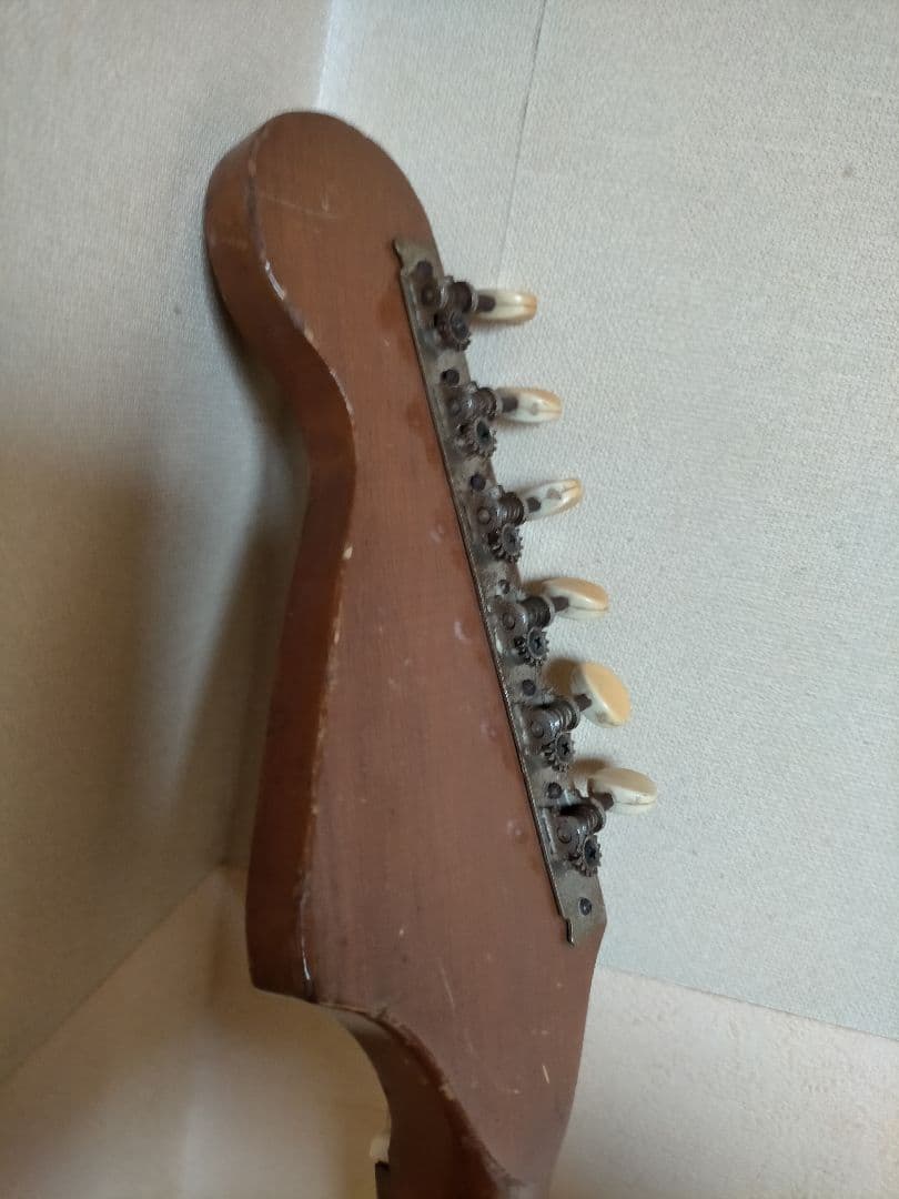 タンタカタンVISION VEG-120 ビジョン