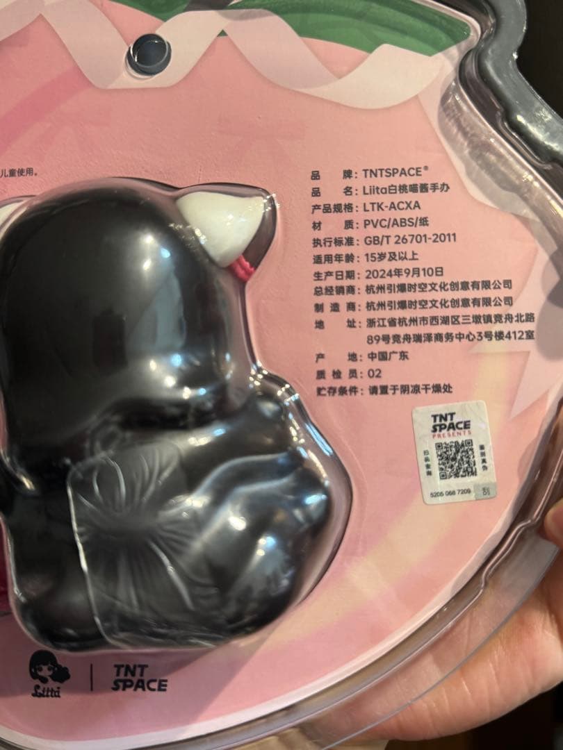 TNTSPACE Liita リイタ　透明パッケージ　吊卡 レア