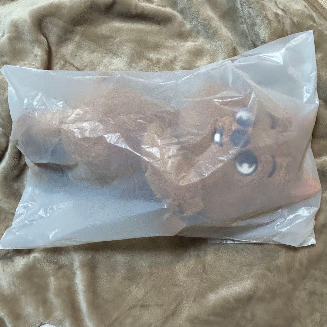 straykids celebrATE プラッシュバッグ ハン クオッカ