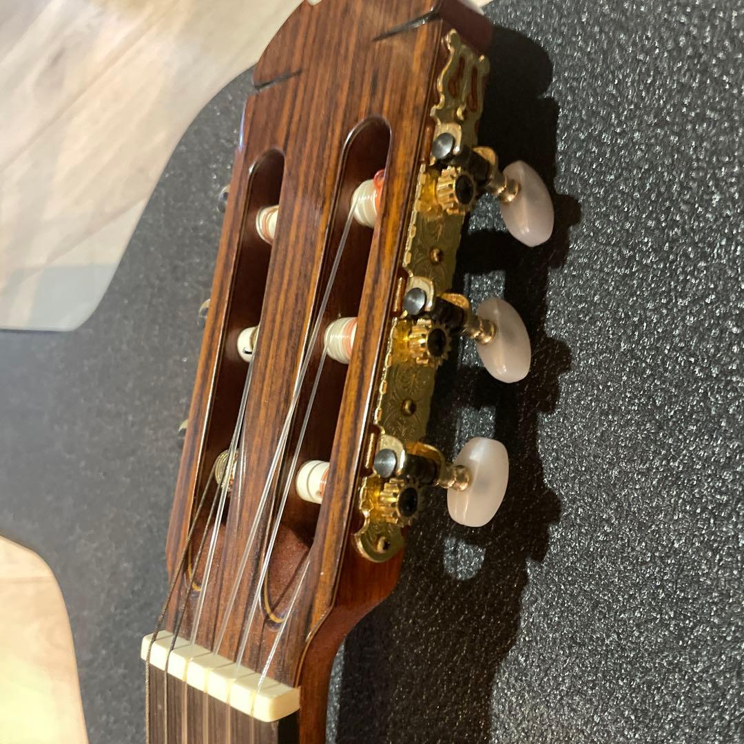 M50 美品 アコースティックギター スプルーストップ