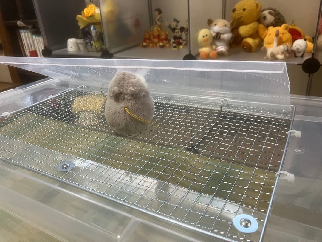 ④【超お得３個セット】広い大きい快適な爬虫類・両生類用飼育ケースゲージ