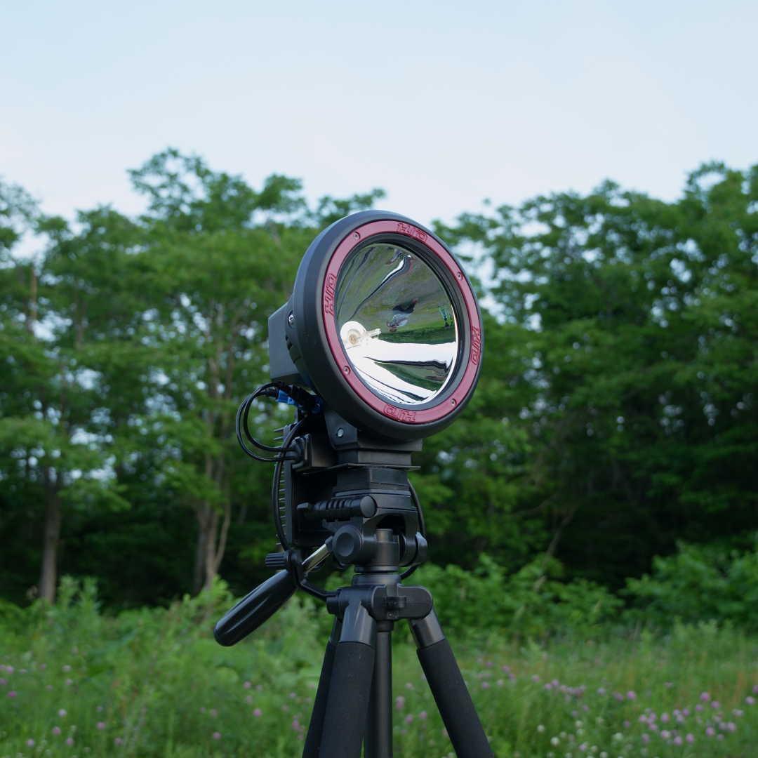 訳あり格安！新品HIDライトトラップ　高出力約65～110W　紫外線強化バルブ