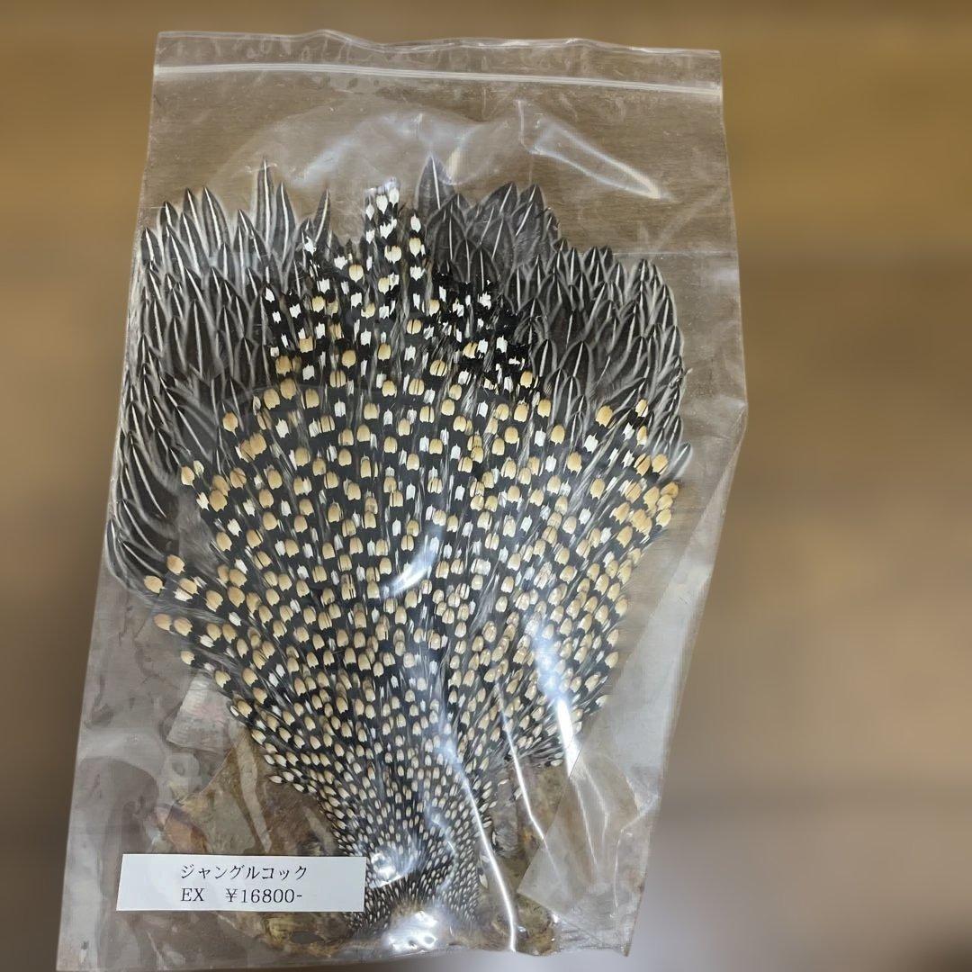 ジャングルコック