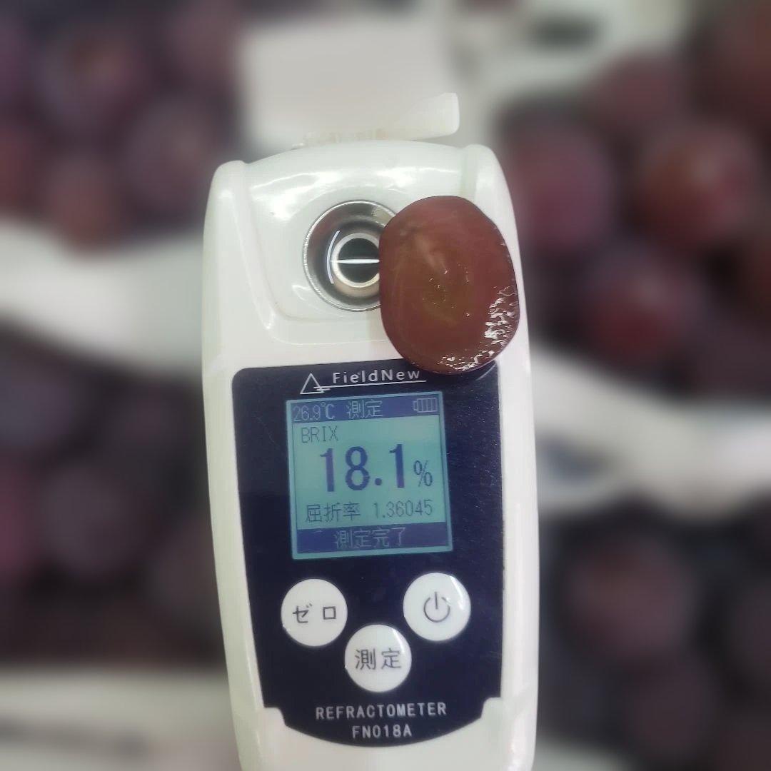 6️⃣ 山梨県産 種無し巨峰１０房 箱込み5.7キロ