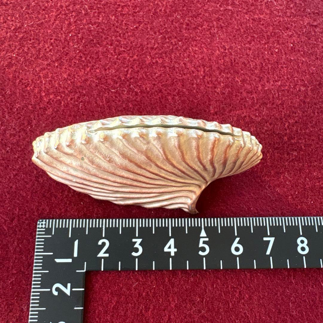 アトリエジュンコ シェル型カードスタンド 4個セット