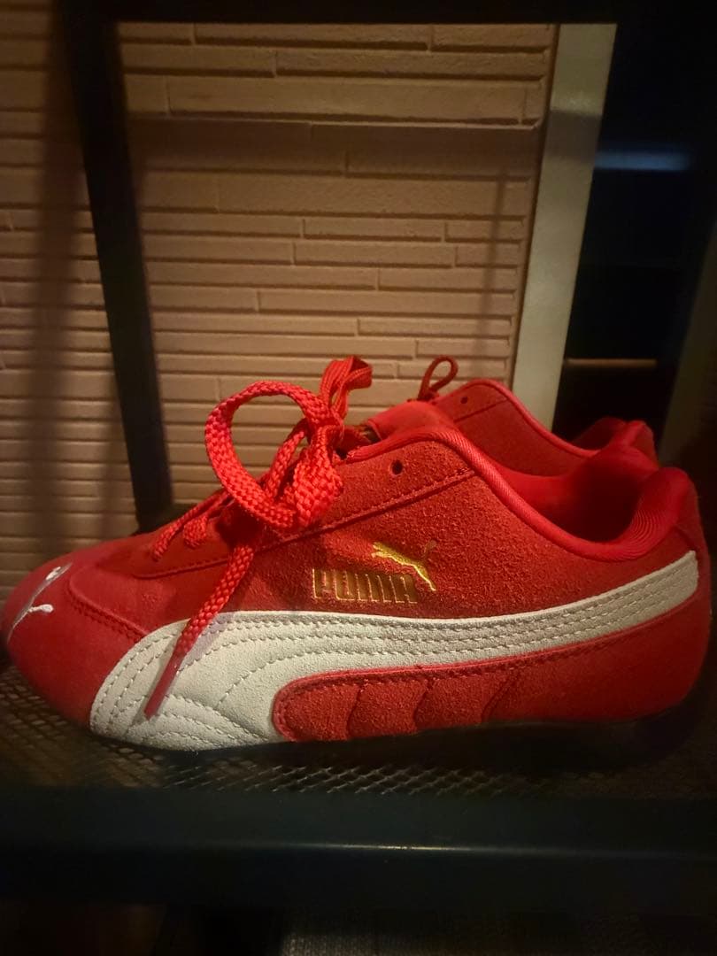 スピードキャット 24.5