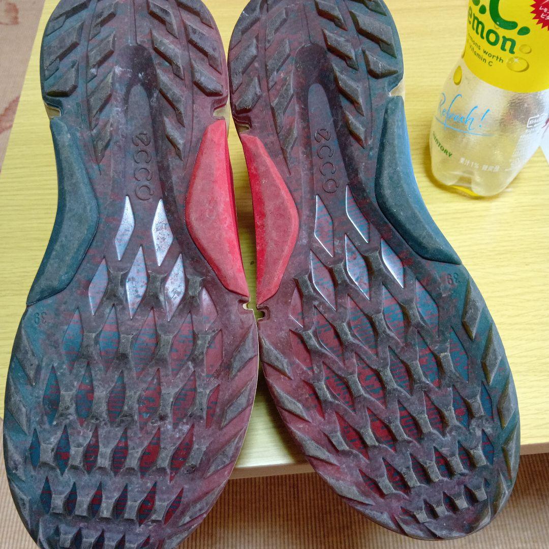 大幅値下げeccoＨ4エコーバイオムスパイクレス