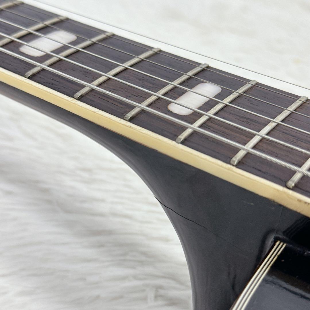 Nardan No.100 アーチトップ ナルダン ピックギター 日本製 国産