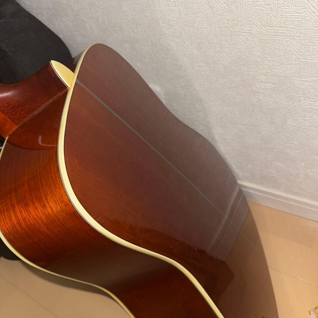 Morris アコースティックギターM-11NAT