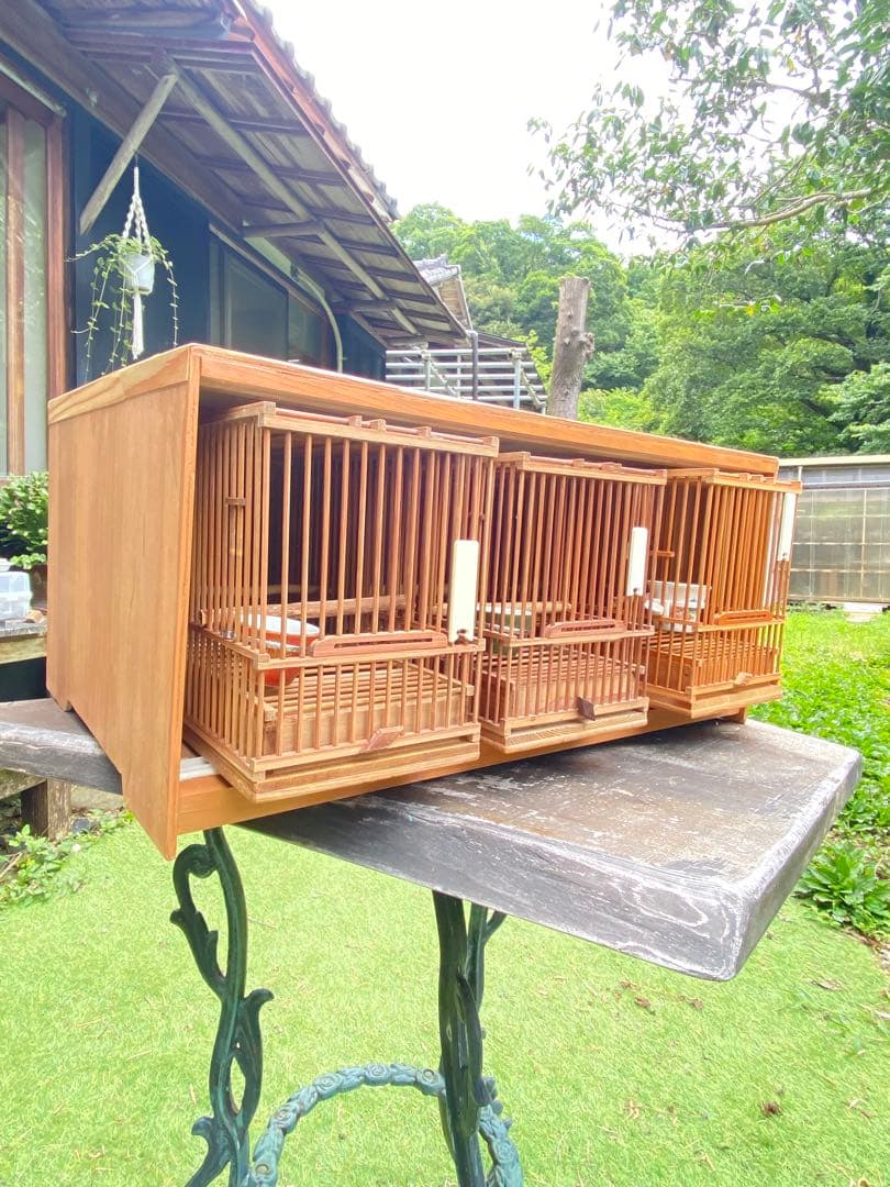 木製鳥用収納寝かせ桶　網戸付