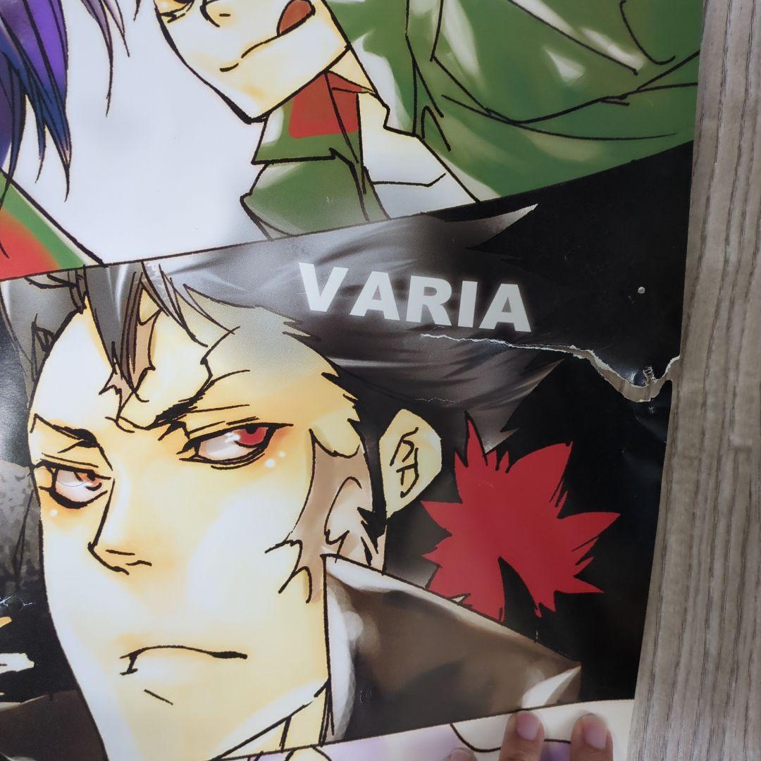 超特大 家庭教師ヒットマンREBORN! 公式商品 1m54cm×1m22cm