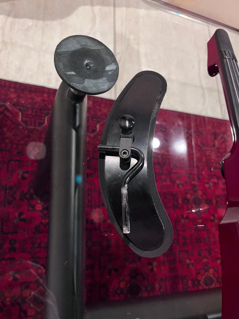 NS Design WAV4 エレキバイオリン サイレントバイオリン