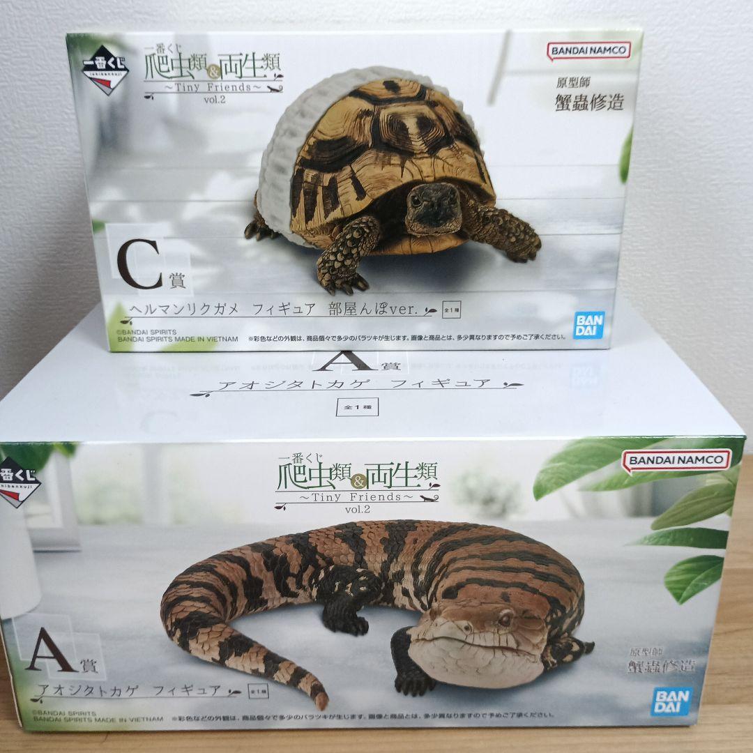 【一番くじ】爬虫類＆両生類 A賞 アオジタトカゲフィギュア　C賞ヘルマンリクガメ