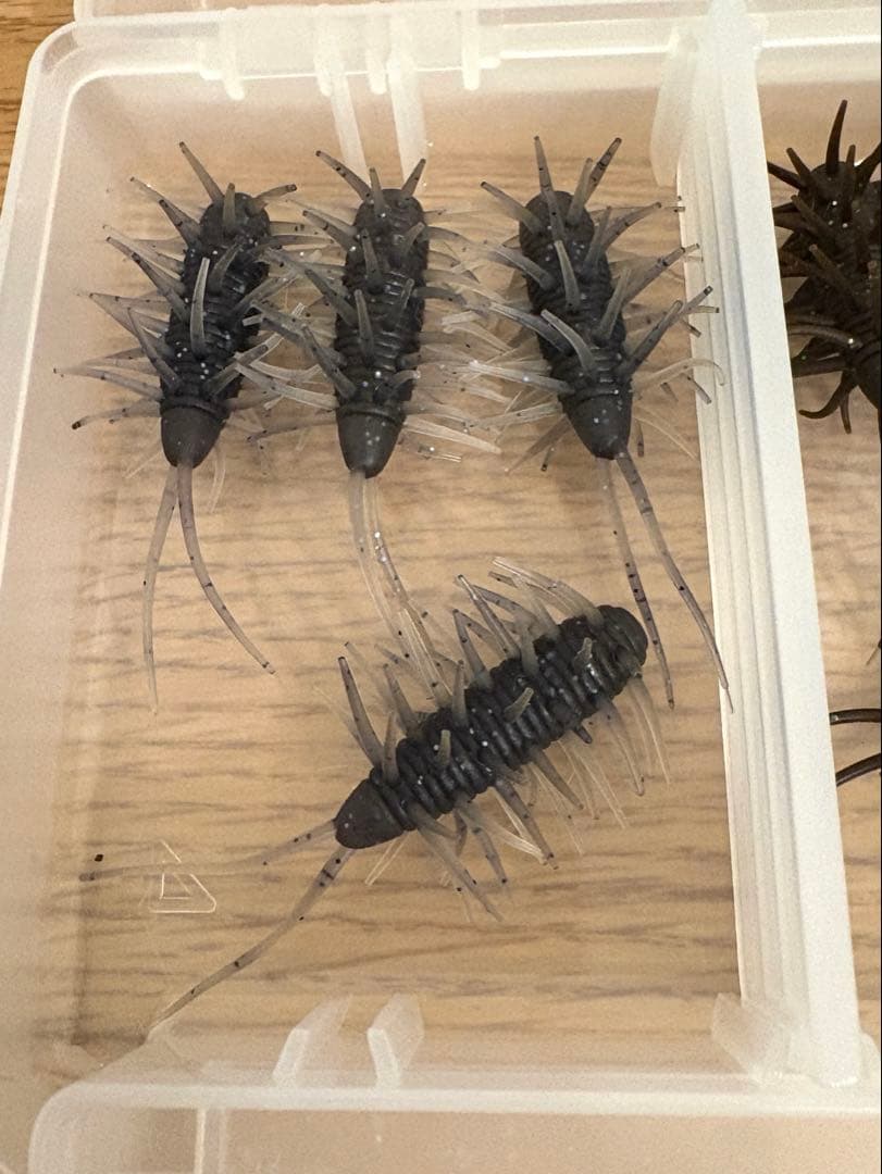 旧 コイケシュリンプ 未使用