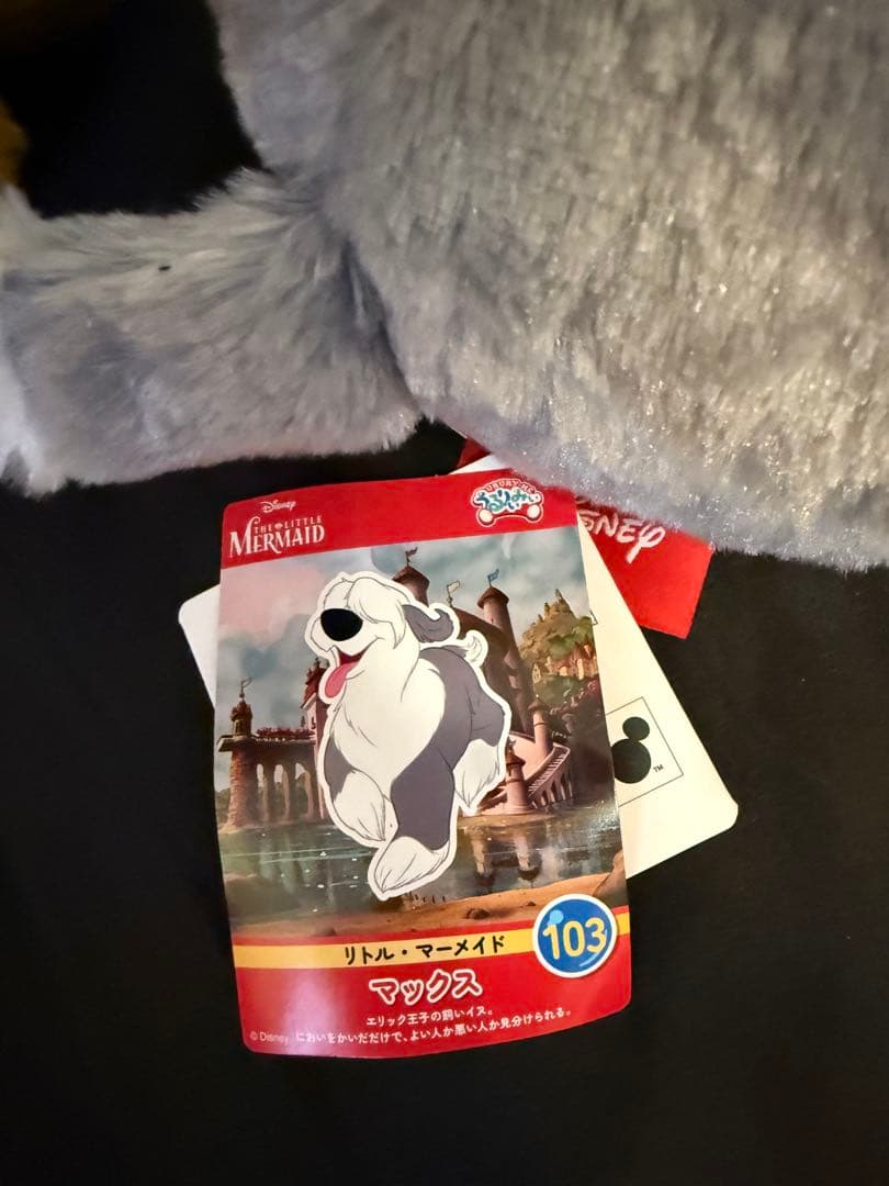 犬のぬいぐるみセット