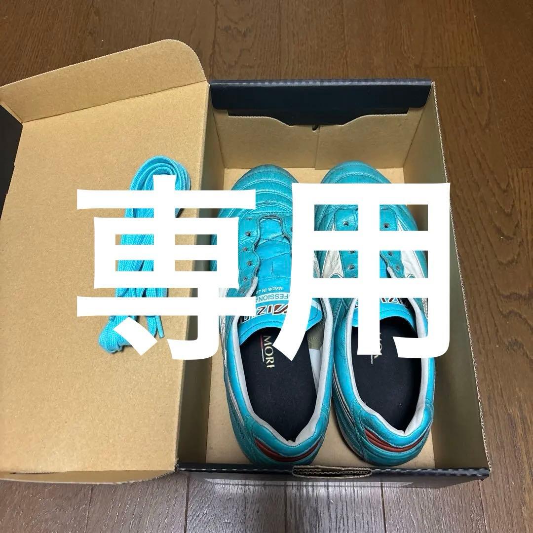 ぴこさん専用　モレリア2japan