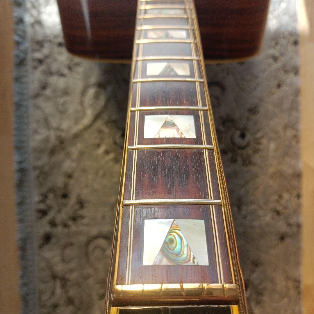 コンプリートＤ-55モデル 積層ネック 本アバロン貝　Aria GL-500