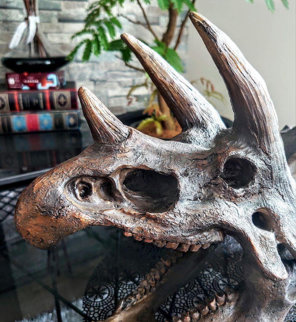 【お得なセット】ティラノサウルス トリケラトプス インテリア雑貨